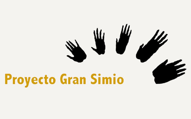 Proyecto Gran Simio