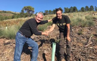 AYUDAS AL PROYECTO "OCTUBRE DE REFOREST-ACCIÓN"